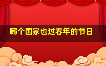 哪个国家也过春年的节日