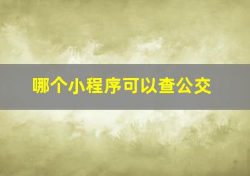 哪个小程序可以查公交