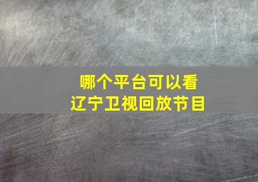 哪个平台可以看辽宁卫视回放节目