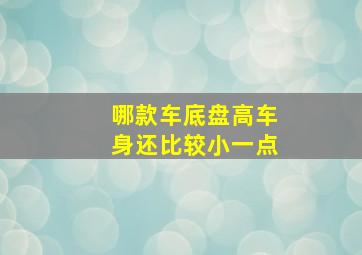 哪款车底盘高车身还比较小一点