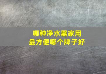 哪种净水器家用最方便哪个牌子好