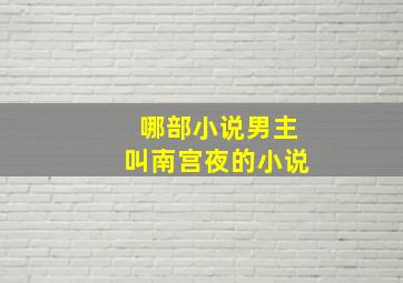 哪部小说男主叫南宫夜的小说