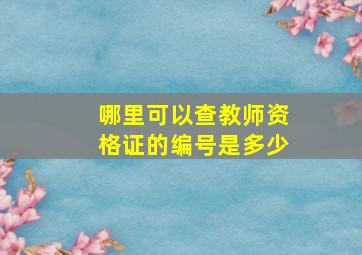 哪里可以查教师资格证的编号是多少