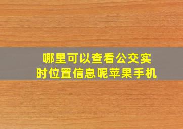 哪里可以查看公交实时位置信息呢苹果手机