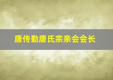 唐传勤唐氏宗亲会会长