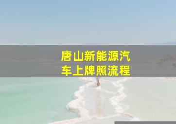 唐山新能源汽车上牌照流程