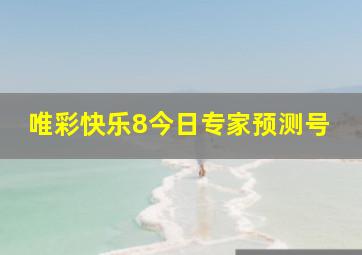 唯彩快乐8今日专家预测号