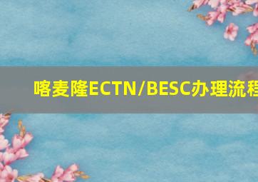 喀麦隆ECTN/BESC办理流程