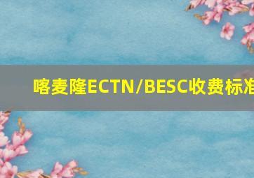 喀麦隆ECTN/BESC收费标准