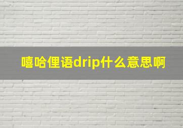 嘻哈俚语drip什么意思啊