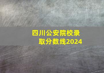 四川公安院校录取分数线2024