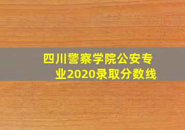 四川警察学院公安专业2020录取分数线