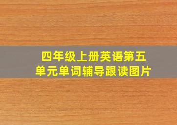 四年级上册英语第五单元单词辅导跟读图片