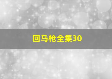 回马枪全集30