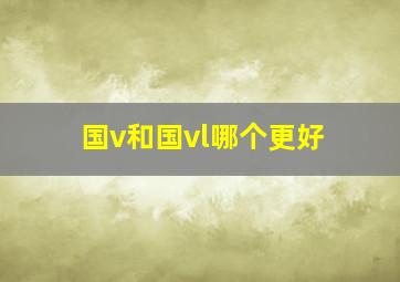 国v和国vl哪个更好