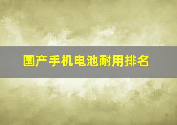 国产手机电池耐用排名