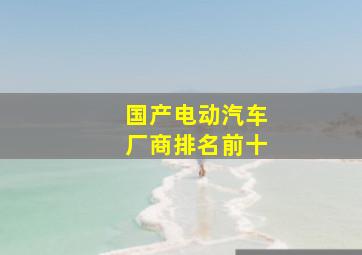 国产电动汽车厂商排名前十