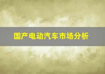 国产电动汽车市场分析