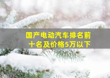 国产电动汽车排名前十名及价格5万以下