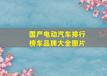 国产电动汽车排行榜车品牌大全图片