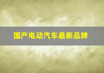 国产电动汽车最新品牌