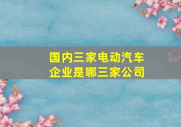 国内三家电动汽车企业是哪三家公司