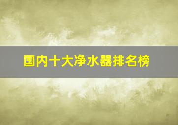 国内十大净水器排名榜