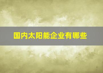 国内太阳能企业有哪些