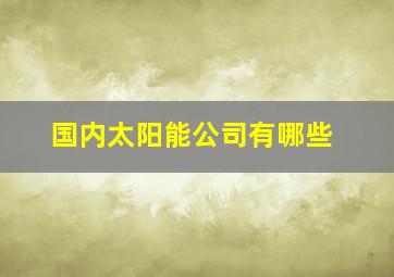 国内太阳能公司有哪些