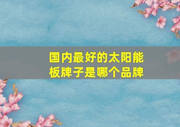 国内最好的太阳能板牌子是哪个品牌