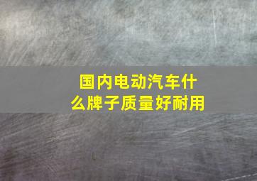 国内电动汽车什么牌子质量好耐用