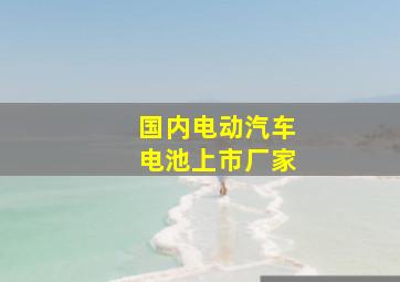 国内电动汽车电池上市厂家