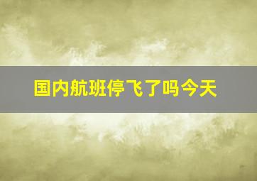 国内航班停飞了吗今天