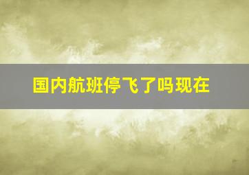 国内航班停飞了吗现在