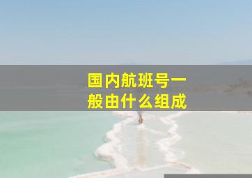 国内航班号一般由什么组成