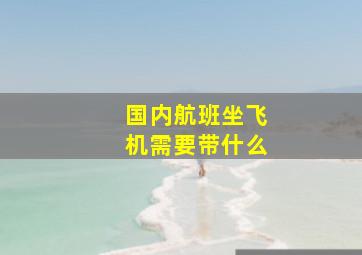 国内航班坐飞机需要带什么