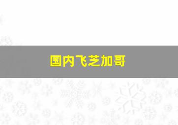 国内飞芝加哥