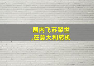 国内飞苏黎世,在意大利转机