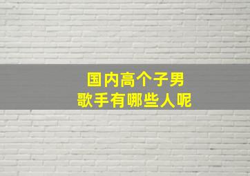 国内高个子男歌手有哪些人呢