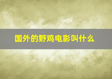 国外的野鸡电影叫什么