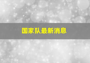 国家队最新消息