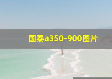 国泰a350-900图片