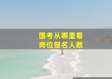 国考从哪里看岗位报名人数