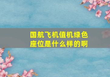 国航飞机值机绿色座位是什么样的啊