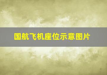 国航飞机座位示意图片