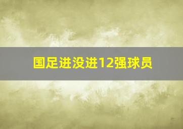 国足进没进12强球员