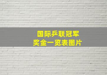 国际乒联冠军奖金一览表图片