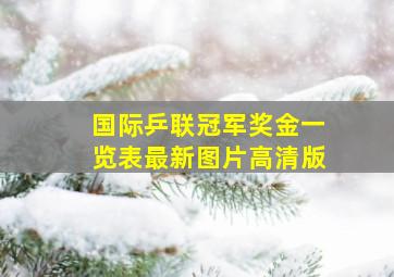 国际乒联冠军奖金一览表最新图片高清版