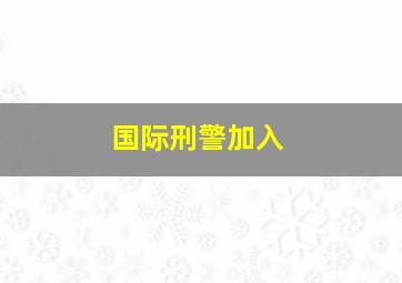 国际刑警加入