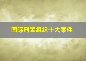 国际刑警组织十大案件